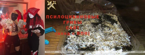 спайс Алзамай