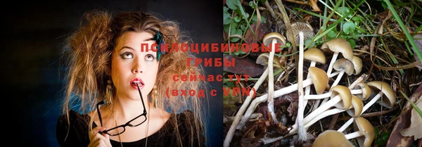 спайс Алзамай