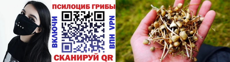 Галлюциногенные грибы Psilocybine cubensis  Оханск 